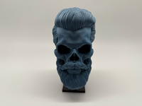 3D Menselijke Schedel Met Baard